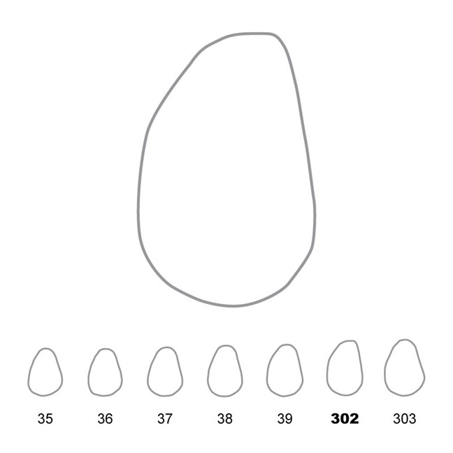 Temporary Crowns Upper Canines Left 302