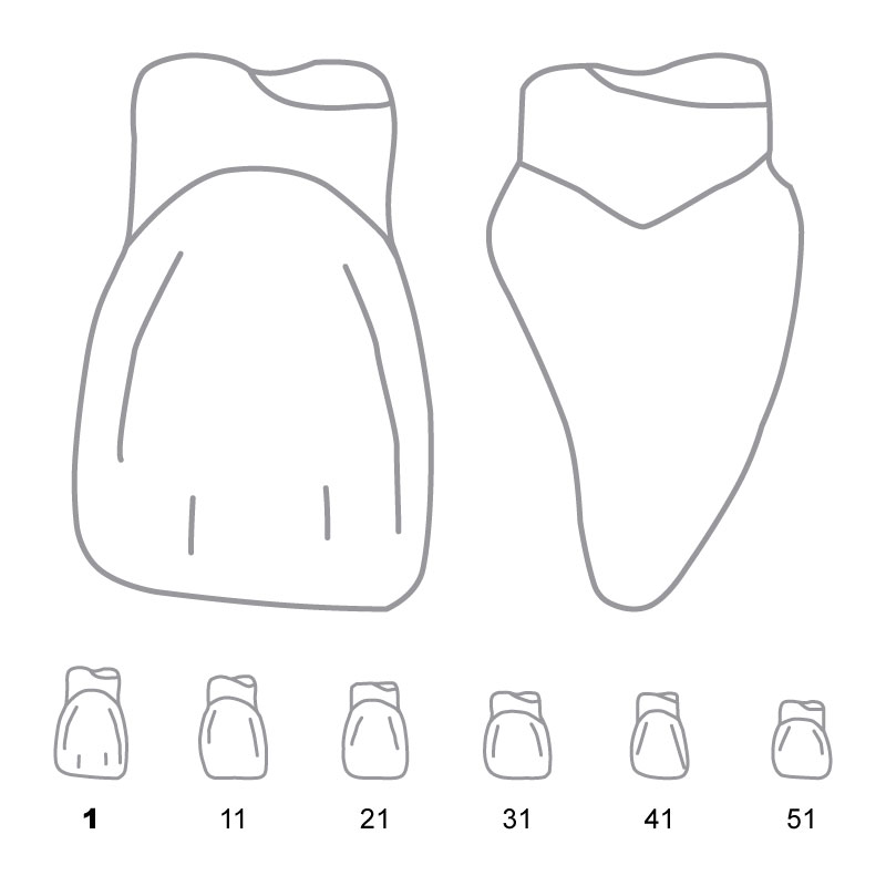 TDO001 Odus Pella Transparent Crown Forms. Centrals 1