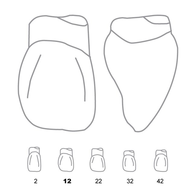 Odus Pella Transparent Crown Forms Laterals 12