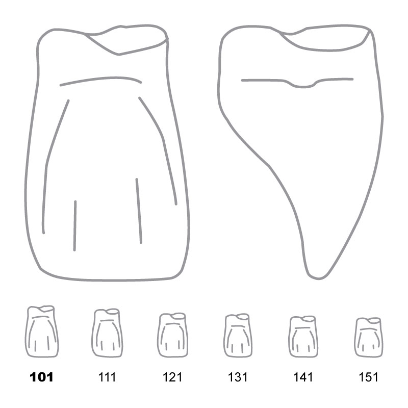 TDO101 Odus Pella Transparent Crown Forms CentralCervical Part