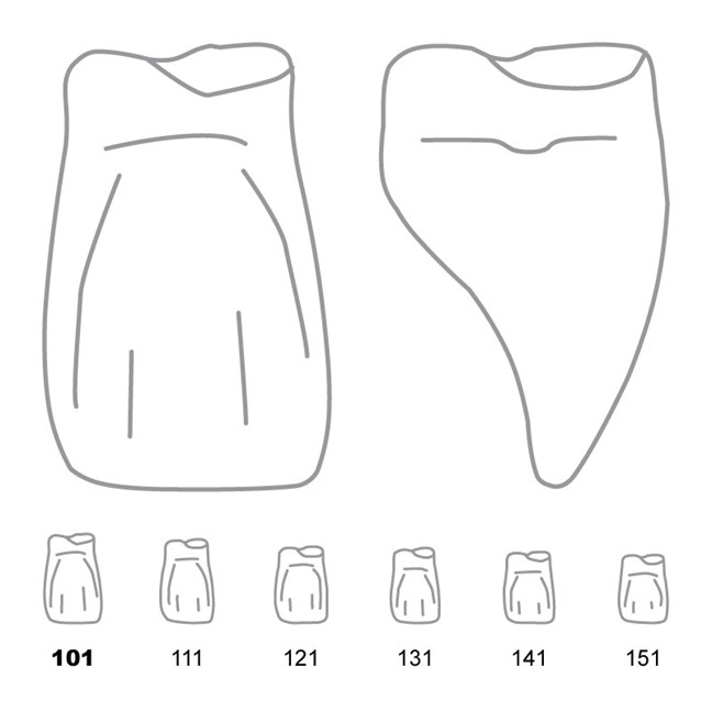 Odus Pella Transparent Crown Forms Central-Cervical Part Enlarged 101