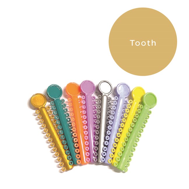 Elastomeric Ligatures Regular Tooth