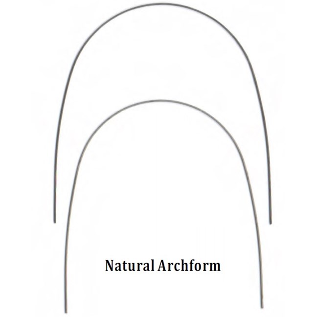 Stainless Steel 16x22 Lower Natural