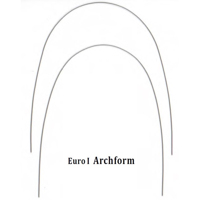 Stainless Steel 19x25 Lower Euro