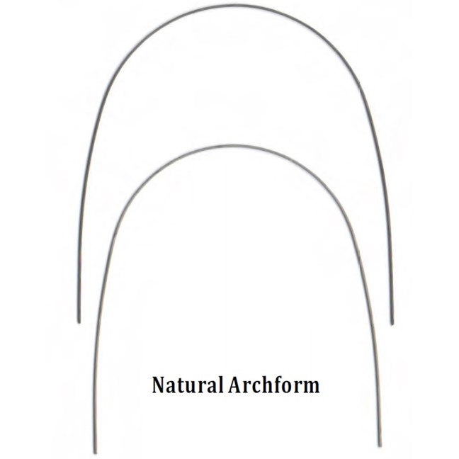 NiTi 020 Lower Natural