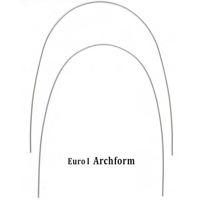 NiTi 16x22 Lower Euro