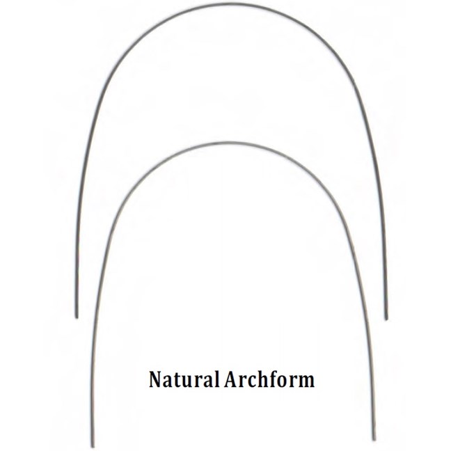 NiTi Heat-Activated 018 Lower Natural