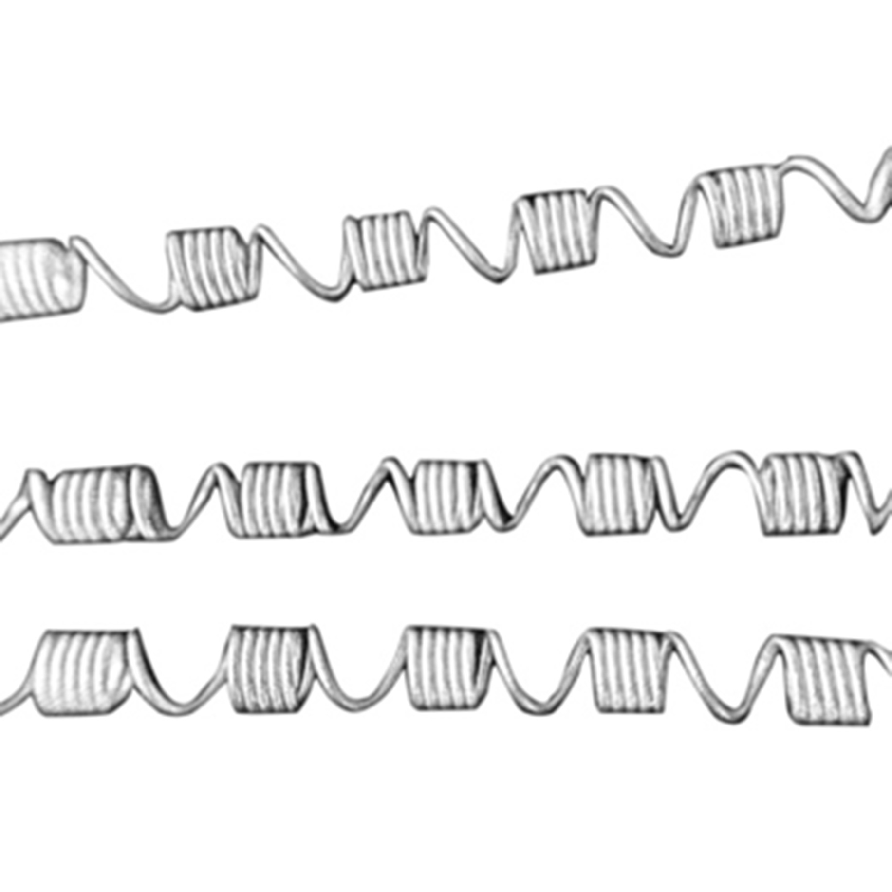 UOW417 NiTi Open Coil Spring 10x45